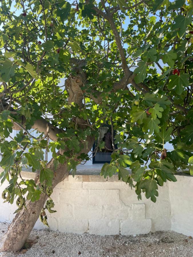 I Tre Coni By Acqua Di Puglia Bed & Breakfast Локоротондо Екстериор снимка